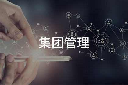 集团管理